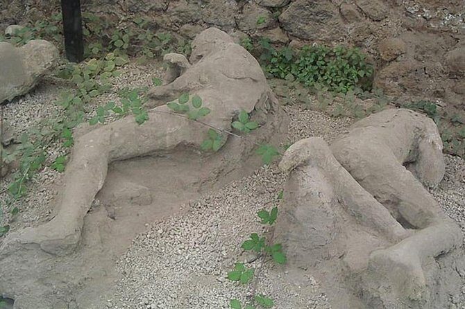 Tour of Mt. Vesuvius+Sorrento+Pompeii (Full Day) - FAQ