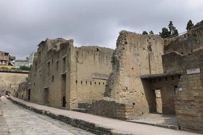 Transfer From Naples Train Station/area to Sorrento 2hr stop in Herculaneum - Continuing on to Sorrento: Drop-Off Without the Hassle