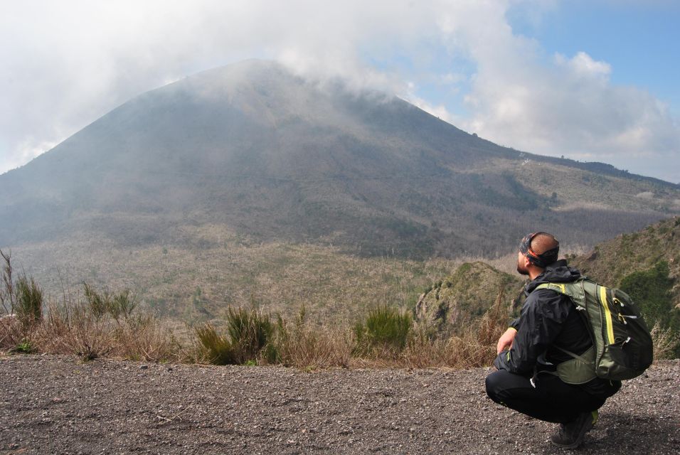 Vesuvio: 3h trekking tour with volcanological guide - Entrance tickets and what’s actually included