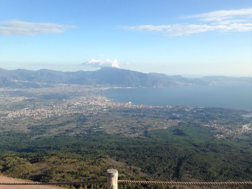 Vesuvio: 3h trekking tour with volcanological guide - Wine tasting on the crater top (and how to plan around it)