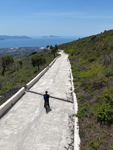 Vesuvio Bike Tour: Summit Ride and Entrance Ticket - Key Points at a Glance