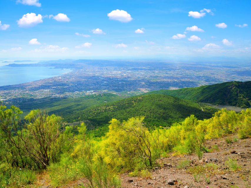 Vesuvio easy tour from Naples - The 1000-Meter Altitude Stop: Real Value, Not Just a Detail