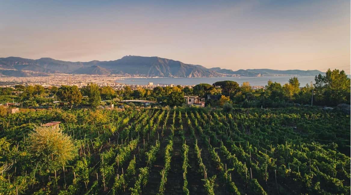 Vesuvio National Park: Wine Tasting & Tour with Light Lunch - The Pietrafumante toast: Caprettone in a traditional-method sparkling style