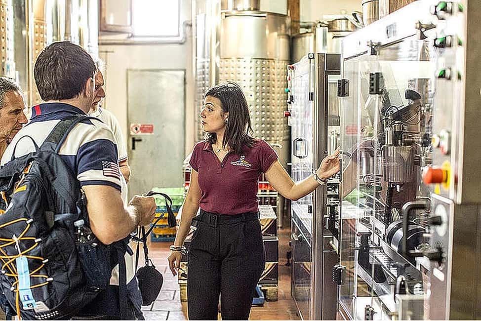 Vesuvio National Park: Wine Tasting & Tour with Light Lunch - Price check: why $105 can feel fair here (and when it might not)