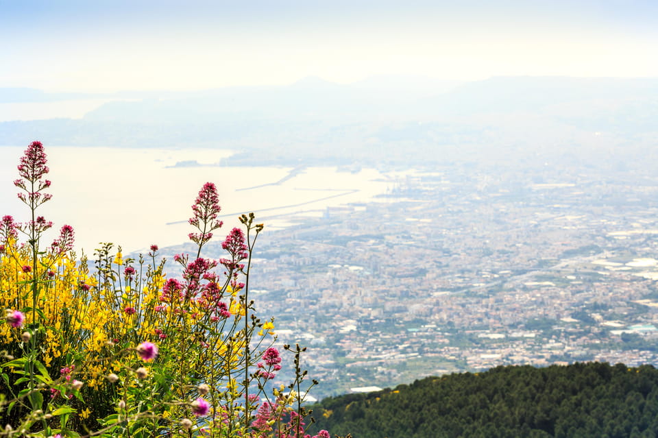 Vesuvio Skip The Line Ticket With Digital Audioguide - Where the Meeting Point Changes (and Why That Matters)