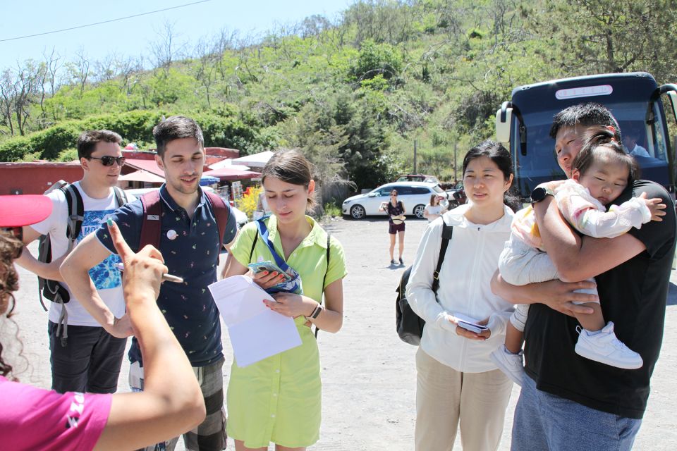 Vesuvius and Herculaneum - Key points before you go