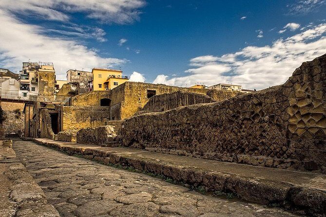 Vesuvius and Herculaneum Day Trip from Naples with Skip the Line - Who should book this trip, and who should skip it