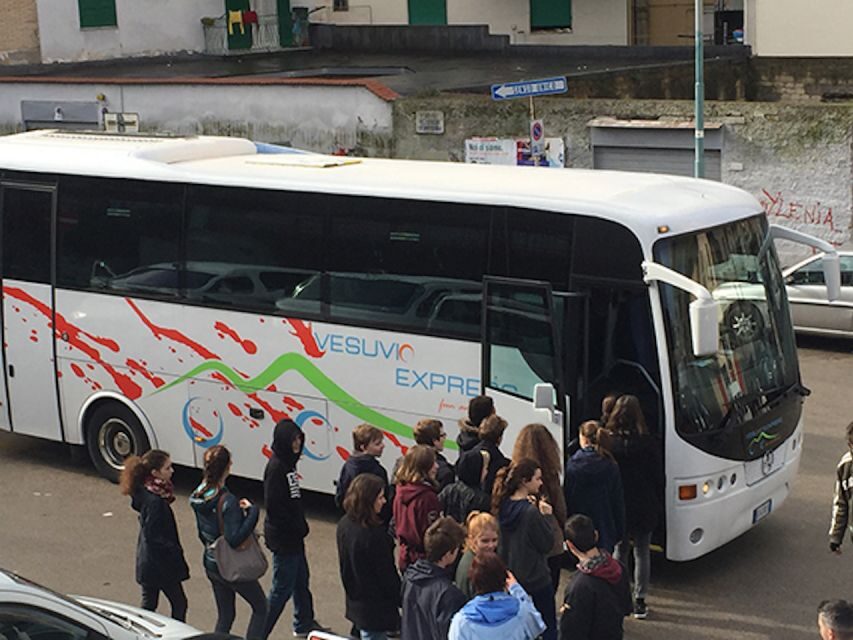 Vesuvius and Pompeii Transfer + Entrance for the Vesuvio - The one logistics detail to get right: buses for Pompeii