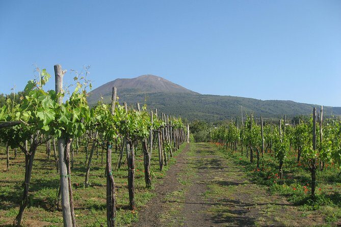 Vesuvius & Vineyard select from Sorrento - Sorrento Pickup Timing: Why Your Day Can Feel Long