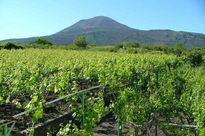 Vesuvius & Vineyard select from Sorrento - Getting More Value From the Wine Stop (Without Needing a Sommelier)