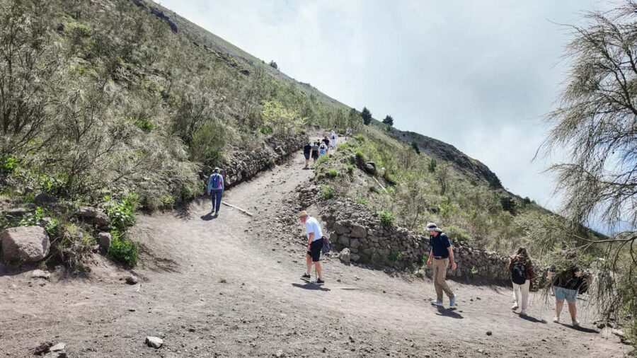 Vesuvius Volcano Experience: from Naples, Pompeii and Rome - The hike and the views: what it feels like on the mountain