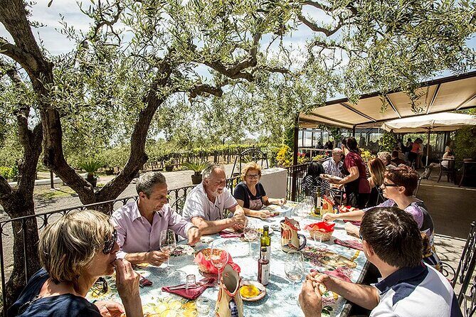 Vesuvius Wine Tasting Experience with Lunch Included - The 2-hour flow: vineyard walk, cantina time, then lunch