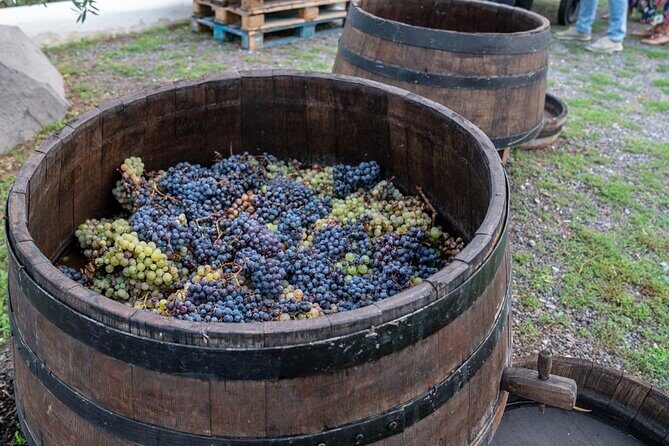 Vesuvius Wine Tasting Experience with Lunch Included - Olive oil and DOP vinegar dressing: the tasting that isn’t wine