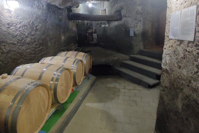 Vesuvius wine tasting with company tour - Key highlights worth planning for