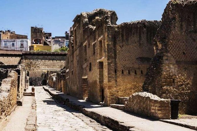 Visit Herculaneum with an expert professional guide (2/3 hours) - Azienda Agricola Ercolani: Limoncello and Crafts in 30 Minutes
