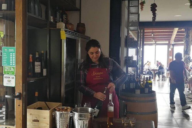 Wine & Food Tour at the Vesuvius Winery - Stop 1: Vesuvius National Park views, and what the extra fees mean