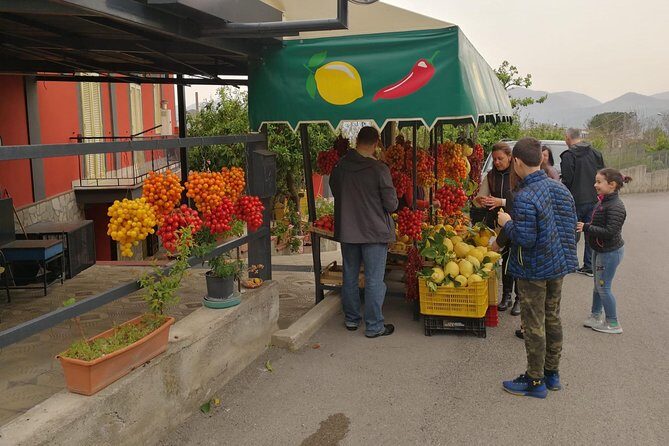 Wine & Food Tour at the Vesuvius Winery - Price and value: where the €226.89 fits, and where extras creep in