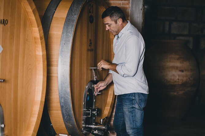 Wine Tasting and Winery Tour in Vesuvio National Park with Lunch - Key Points at a Glance