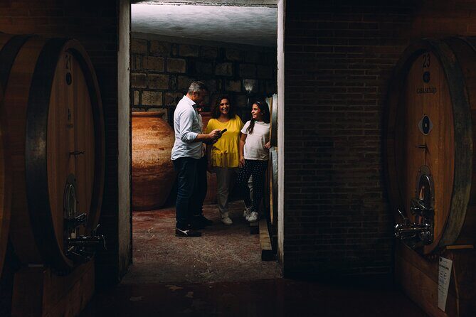 Wine Tasting and Winery Tour in Vesuvio National Park with Lunch - Vesuvius National Park: More Than a Pretty Backdrop