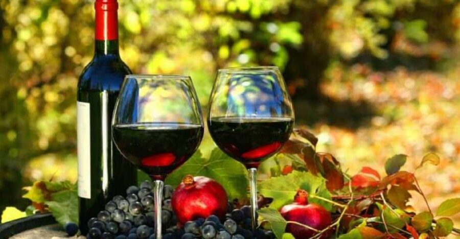 Wine Tasting Experience on the slopes of Vesuvius - Vineyard Walk on the Slopes: What You’ll See and What It Means