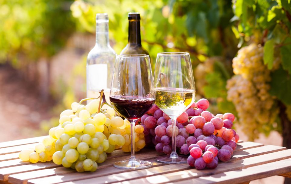 Wine tasting in the Vesuvius National Park - Four wines on Vesuvius: how the tasting works